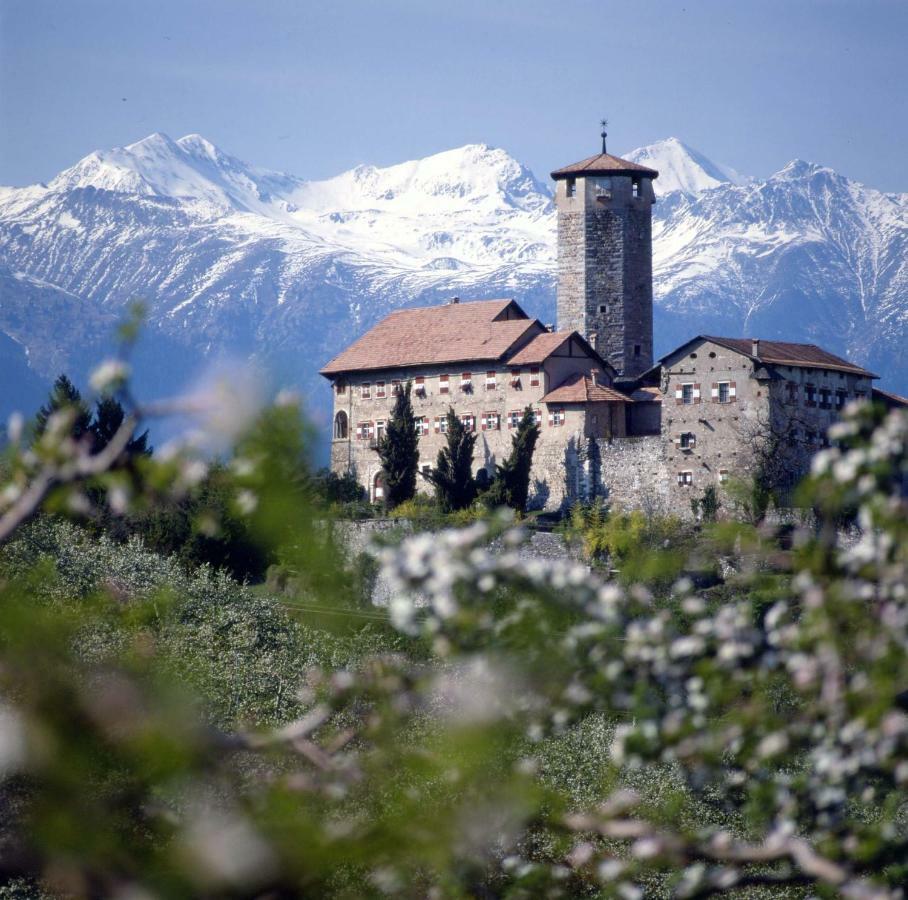 Cinzia Dolomiti Del Brenta Appartement Tassullo Buitenkant foto